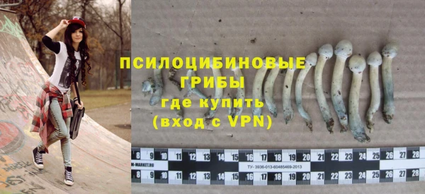 apvp Заводоуковск