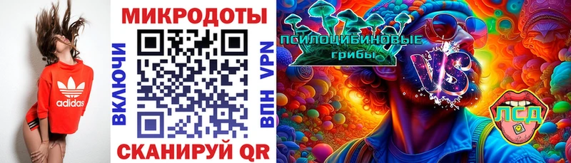 Галлюциногенные грибы Psilocybe  Знаменск 