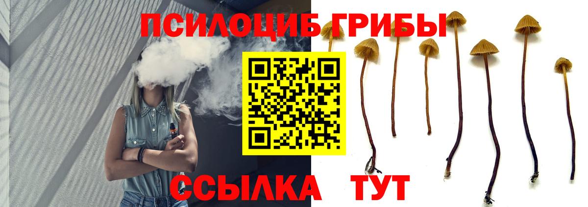 Знаменск  Галлюциногенные грибы GOLDEN TEACHER  Вход с VPN  Псилоцибиновые грибы GOLDEN TEACHER 
