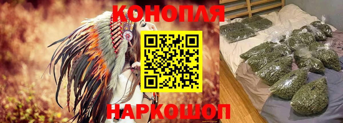 Шишки марихуана конопля  Шишки марихуана OG Kush  МАРИХУАНА SATIVA & INDICA  Знаменск  Канабис OG Kush  Вход с VPN 